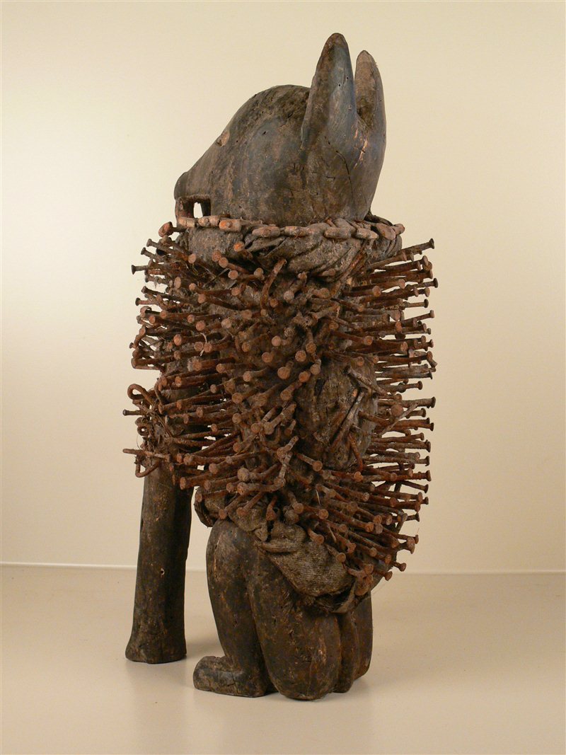 chiens d afrique